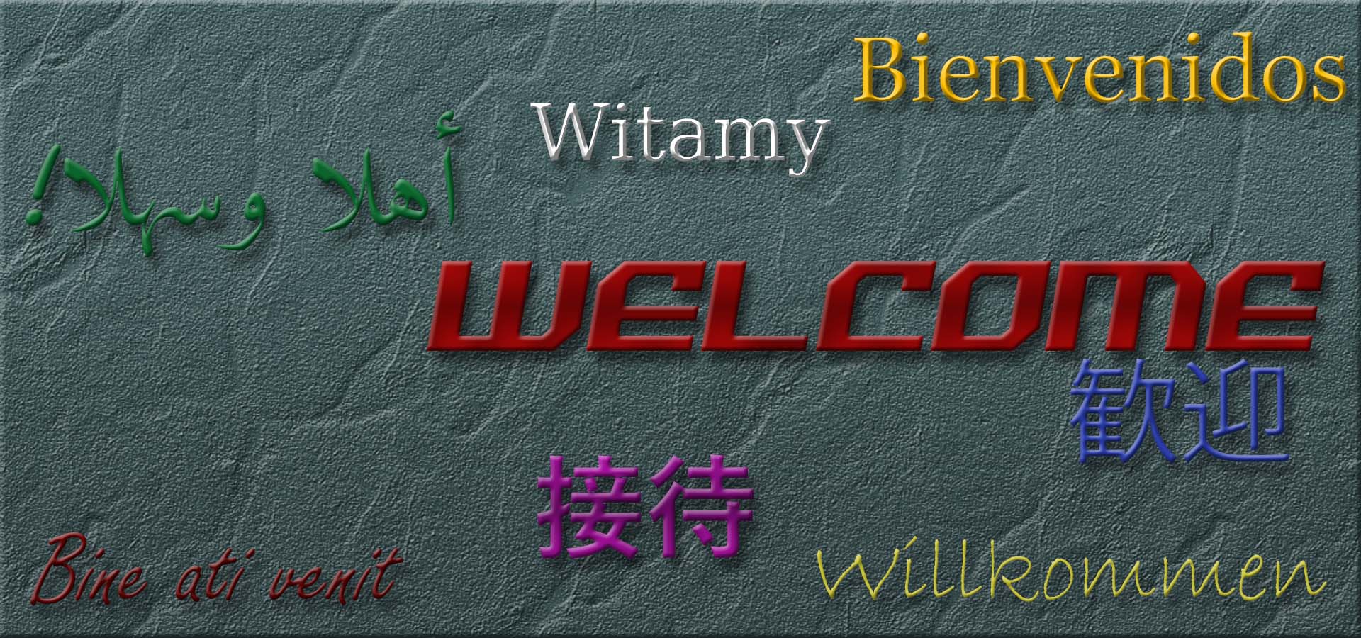 Website in your language